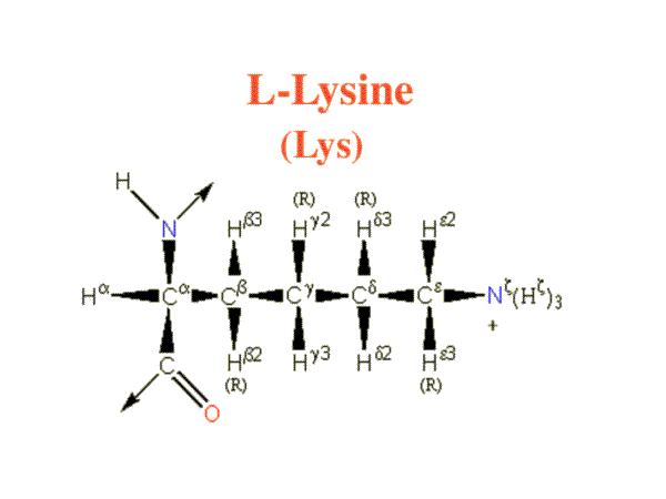 Lysine Pka