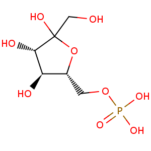 D_fructose_6_phosphate
