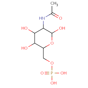 N_acetyl_D_glucosamine_6_phosphate