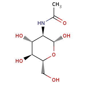 N_acetyl_D_glucosamine