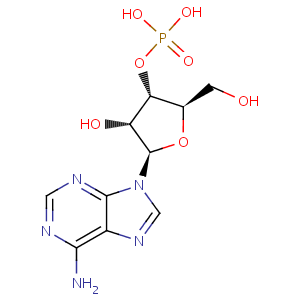 Adenosine-3'-monophosphate