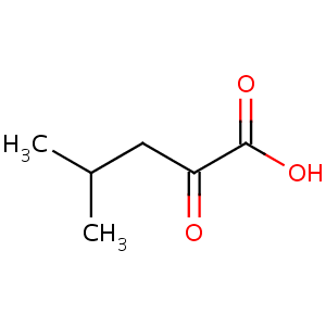 4-Methyl-2-oxovaleric