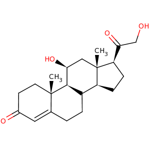 corticosterone