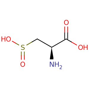 L_cysteinesulfinic_acid